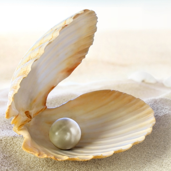 photo-1445384763658-0400939829cd