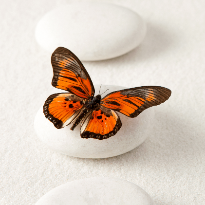 photo-1445384763658-0400939829cd