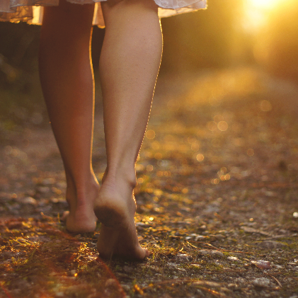 photo-1445384763658-0400939829cd