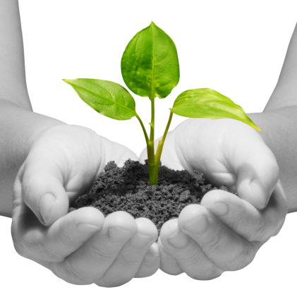 photo-1445384763658-0400939829cd